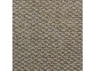 Commercial fitted carpet Rubens 67 - high quality at the best price in Ukraine